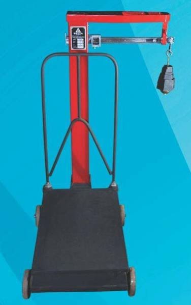 300 Kg Mechanical Platform Scale