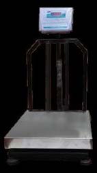 Delta Electronic Platform Scale