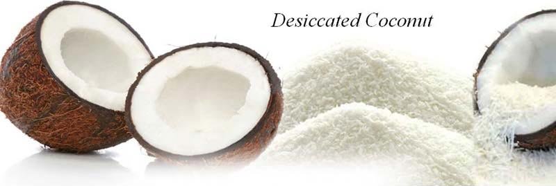 Desiccated Coconut Powder 01