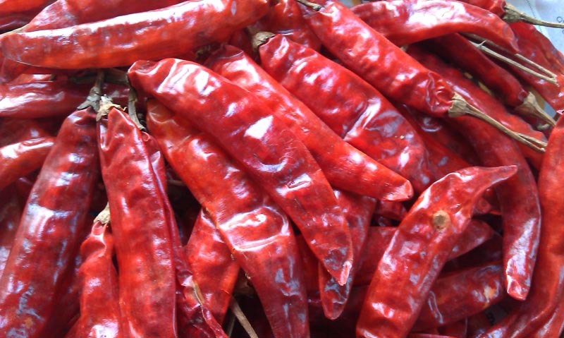 Dry Red Chilli