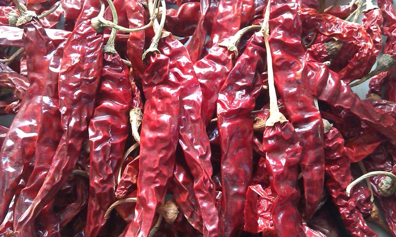 Dry Red Chilli