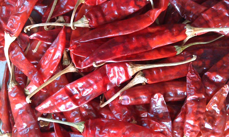 Dry Red Chilli