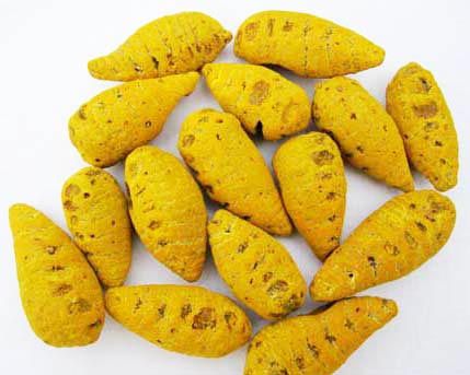 Turmeric Finger