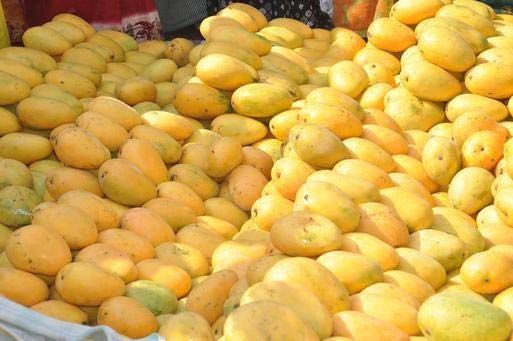 Banganapalli Mangoes