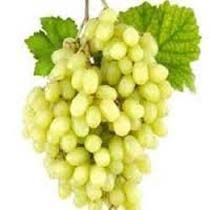 Sonaka Grapes