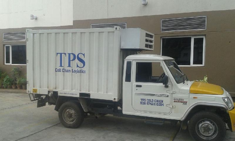 Cakes Transportation 04