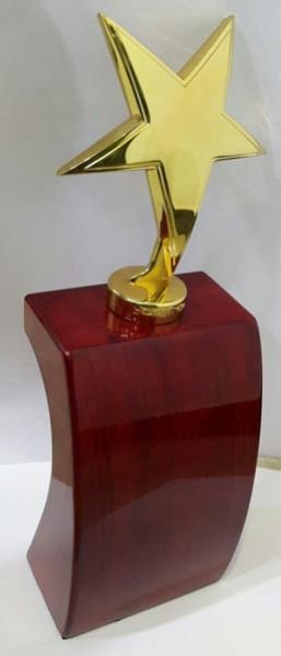 Award Trophy 304
