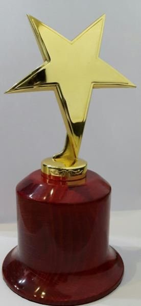 Award Trophy 308