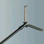 Pelican Jaws Type Forcep