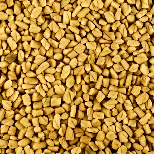 Fenugreek Seeds
