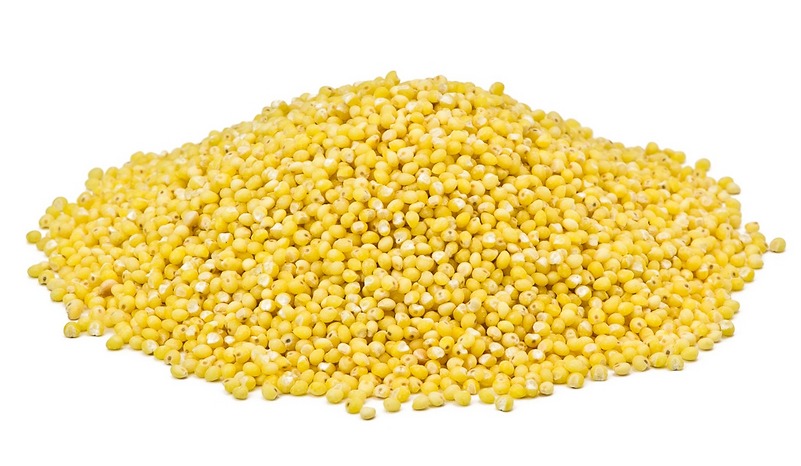 Organic Millet Seeds
