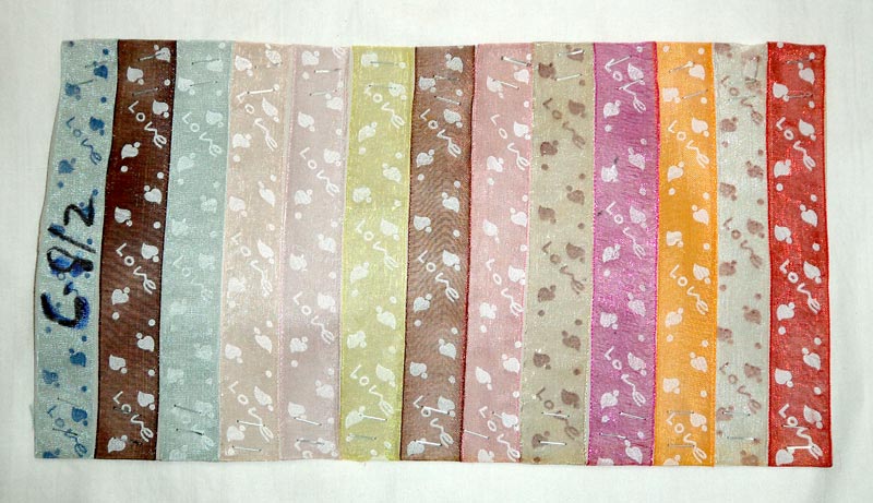 Decorative Printed Ribbon 01