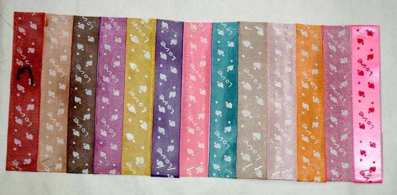 Decorative Printed Ribbon 02