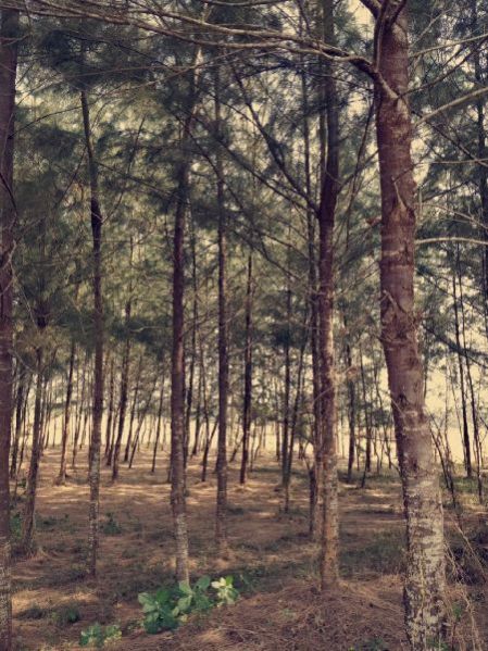 Resorts Booking Services 02