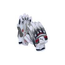 Puma Platinum 5000 BG Cricket Gloves