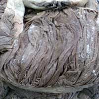 Beef Omasum