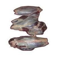 Buffalo Shin Shank