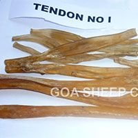 Dried Beef Tendon 08