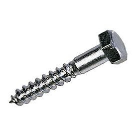 Coach Screw