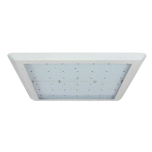 LED Canopy Light 01