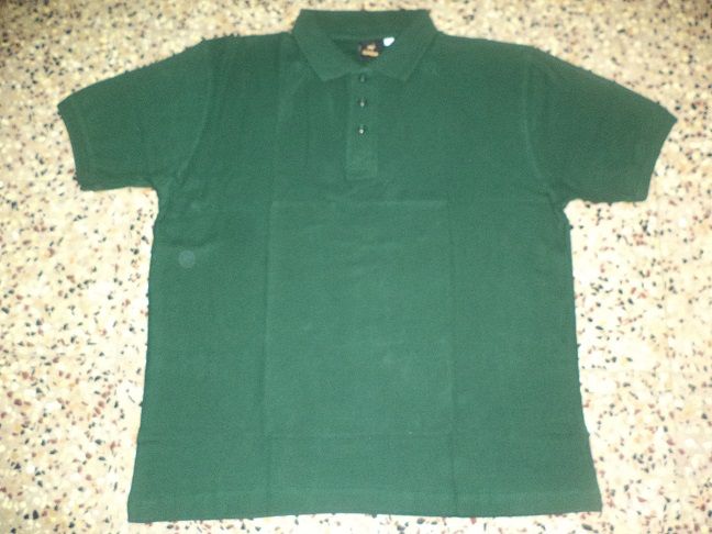 Mens Polo T-Shirt