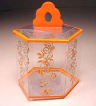 PVC Printed Boxes 04