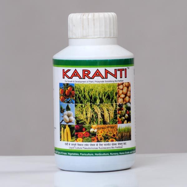 Bio-Fertilizer Phosphate Solubilizing Bacteria (Karanti)