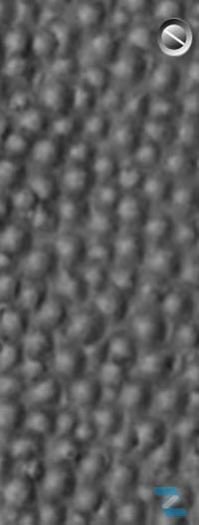 Pinned Surface Extra Large