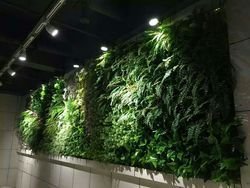 Artificial Vertical Green Wall