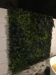Artificial Vertical Green Wall