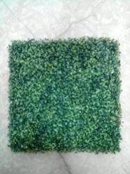 Artificial Vertical Green Wall