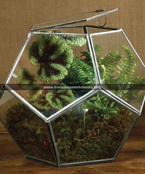 Item Code : BZ 11189