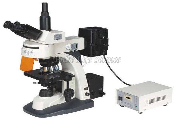 Fluorescence Biological Microscope