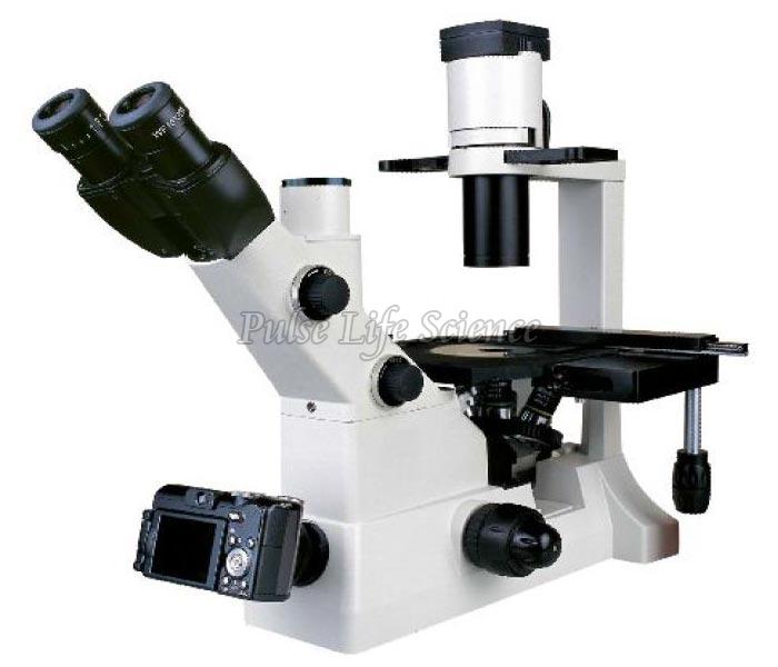 Inverted Biological Microscope