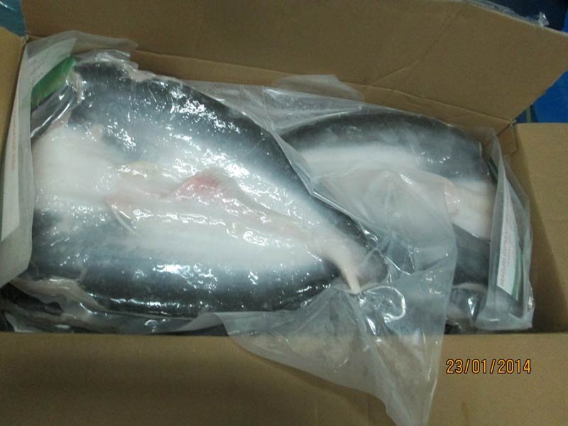 Frozen Basa Butterfly Fish