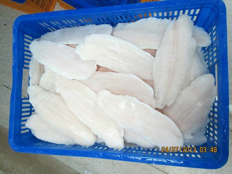 Frozen Basa Fish Fillets