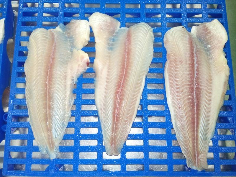 Untrimmed Basa Fillet