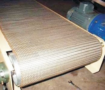 Mesh Conveyor 01