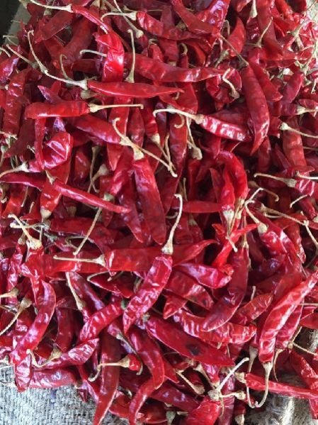 Dried Red Chilli 01