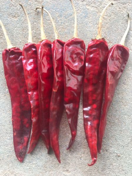 Dried Red Chilli 02