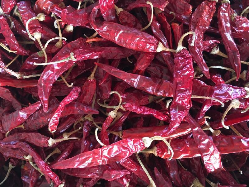 Dried Red Chilli 03