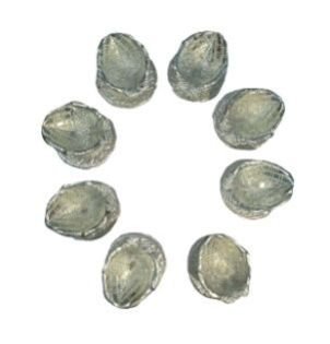 Decorative Diya (UHD0048)