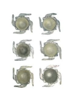 Decorative Diya (UHD0050)