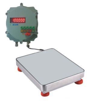 CTG-F Series Flame Proof Scale (Stainless Steel Body)