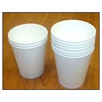 Disposable Water Cup