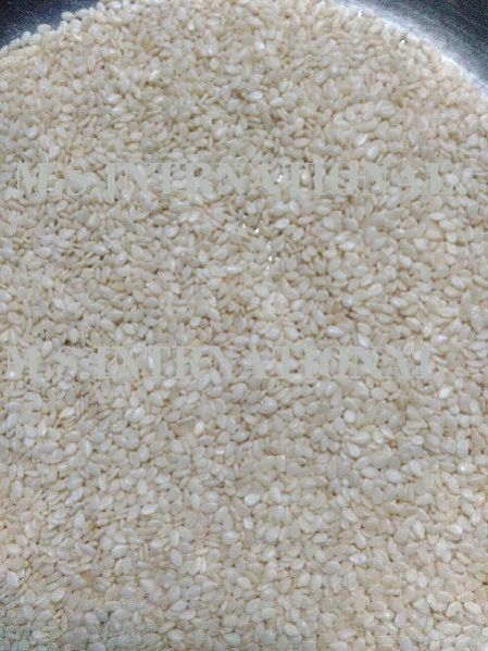 Sesame Seeds 02