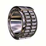 Double Row Cylindrical Roller Bearing - 01