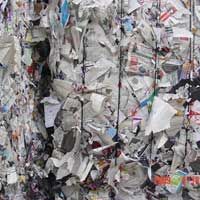 Newspaper Scrap - 01