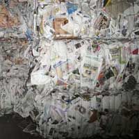 Newspaper Scrap - 03