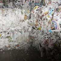 Newspaper Scrap - 04